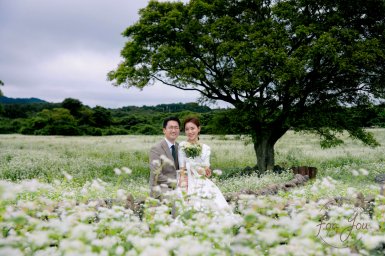 JEJU FOR-U WEDDING